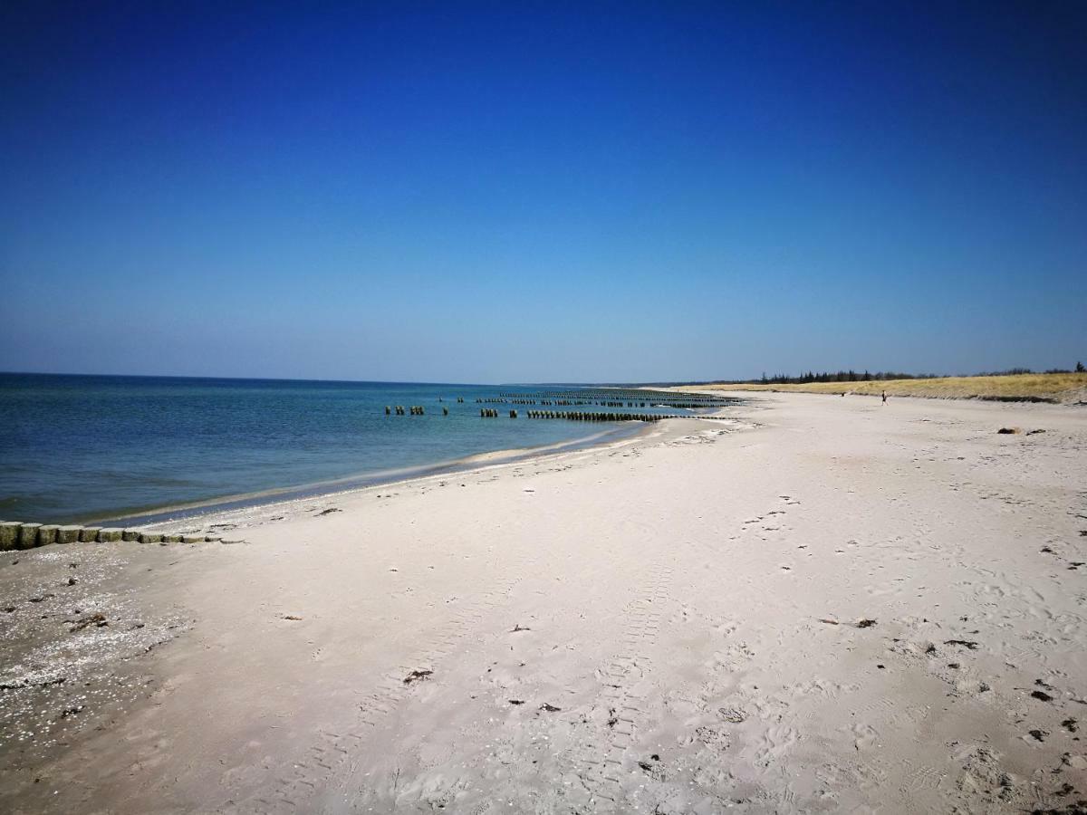 Darsser Strandgut - Haus Ahrenshooper Holz Экстерьер фото