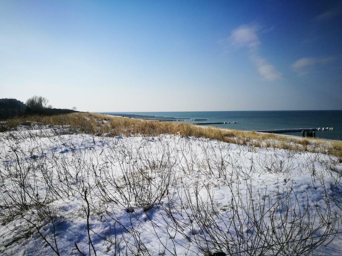 Darsser Strandgut - Haus Ahrenshooper Holz Экстерьер фото